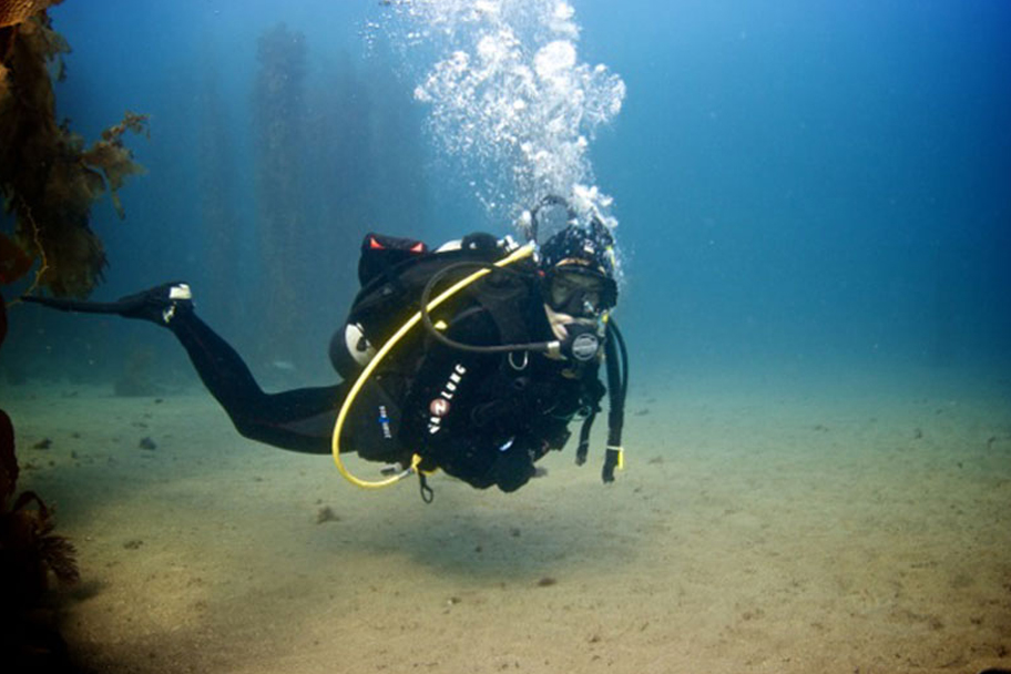 Deep Diver Specialty Makadi