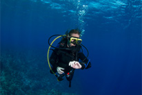 3 Days Dive Package