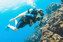 6 Days Dive Package