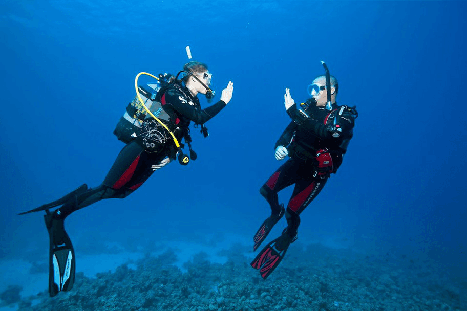 Deep Diver Specialty