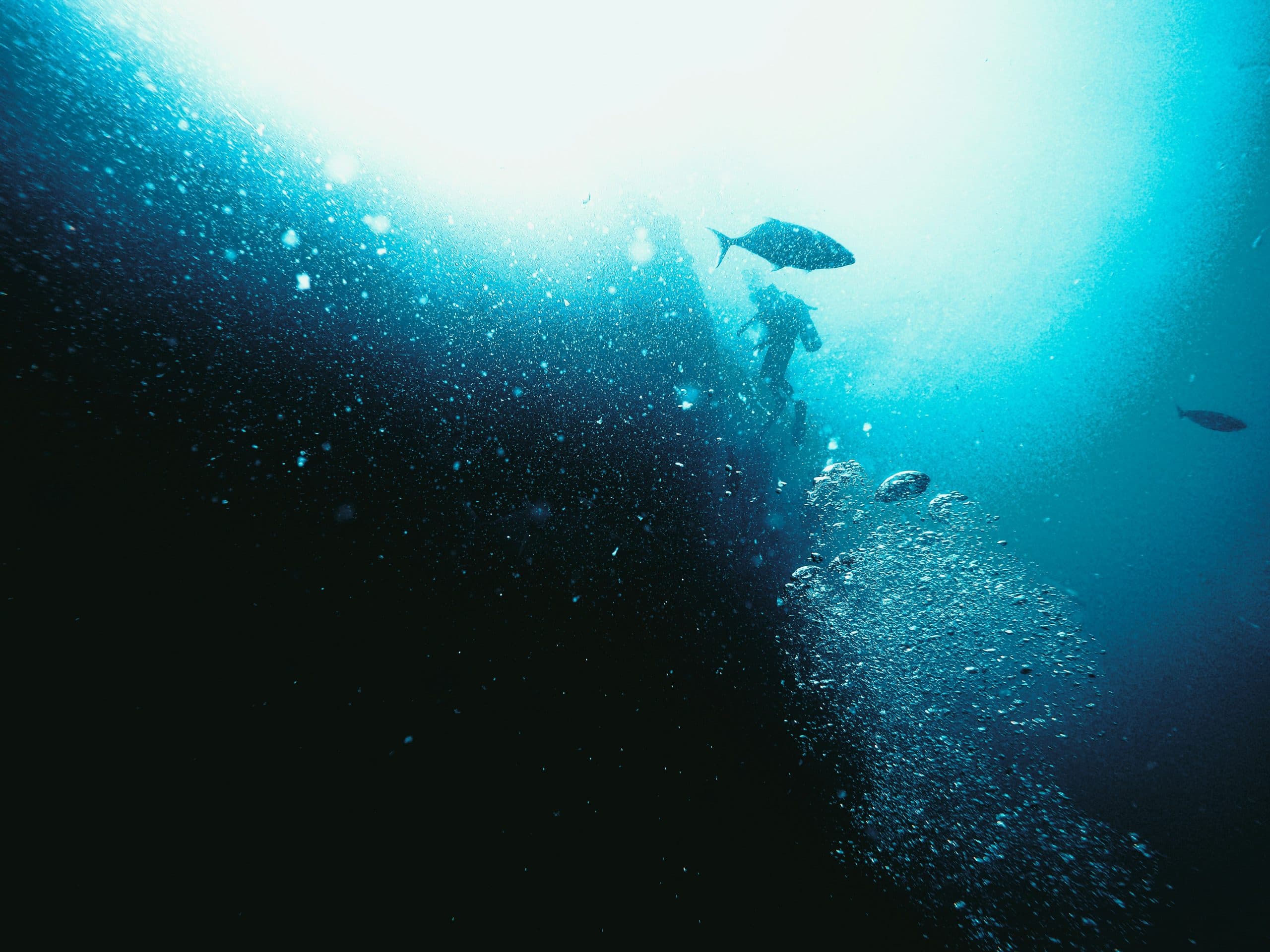 Sidemount Diver