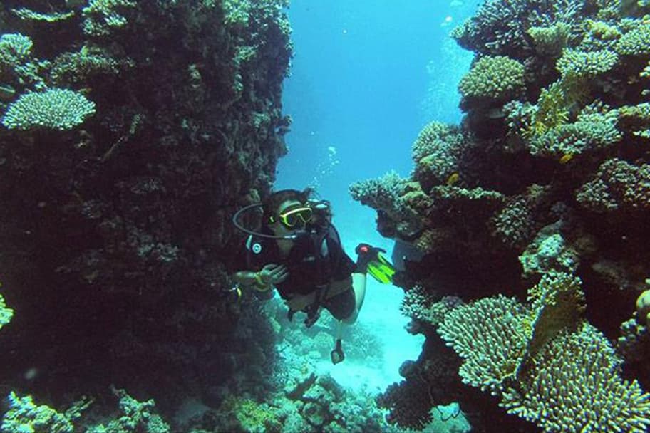 5 Days Dive Package
