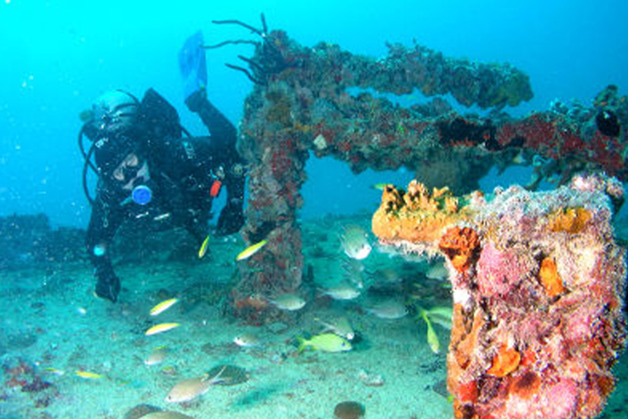 PADI Coral Reef Conversation Spezialkurs